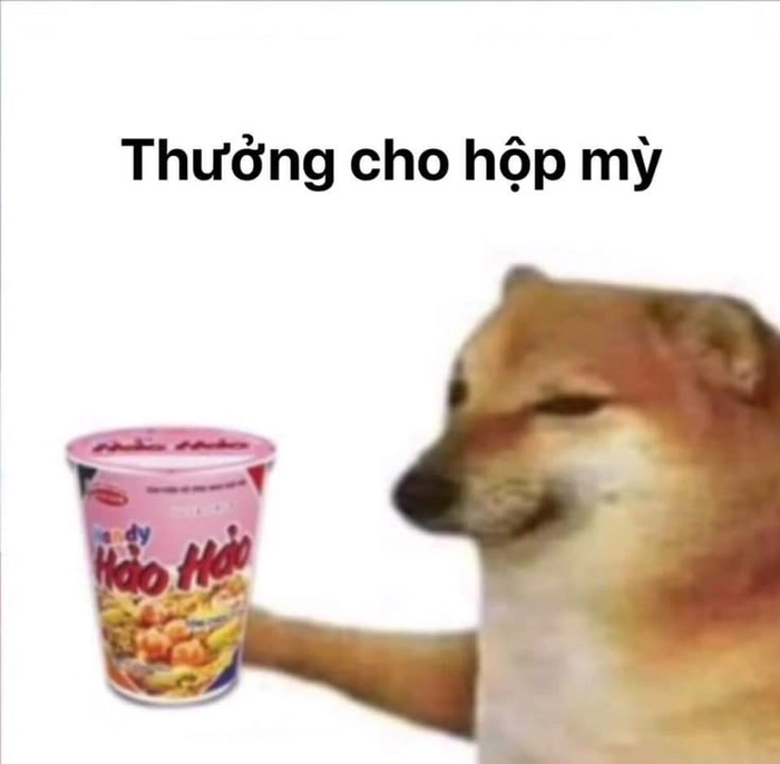 Meme chó bựa làm trò