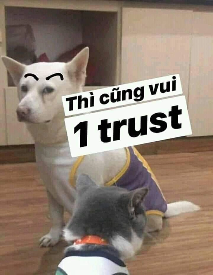 Meme chó bựa nhìn nghiêng