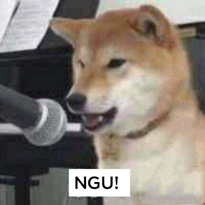 Meme chó bựa phát biểu