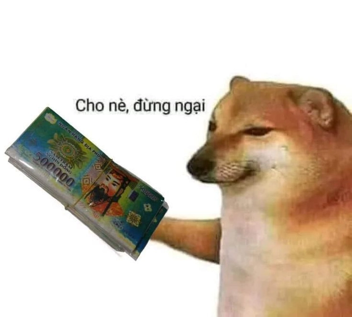 Meme chó bựa troll mèo