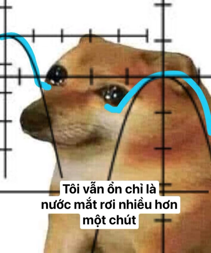 Meme chó buồn bất lực