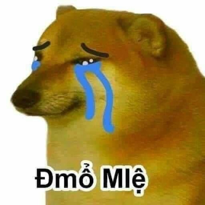 Meme chó buồn cô đơn