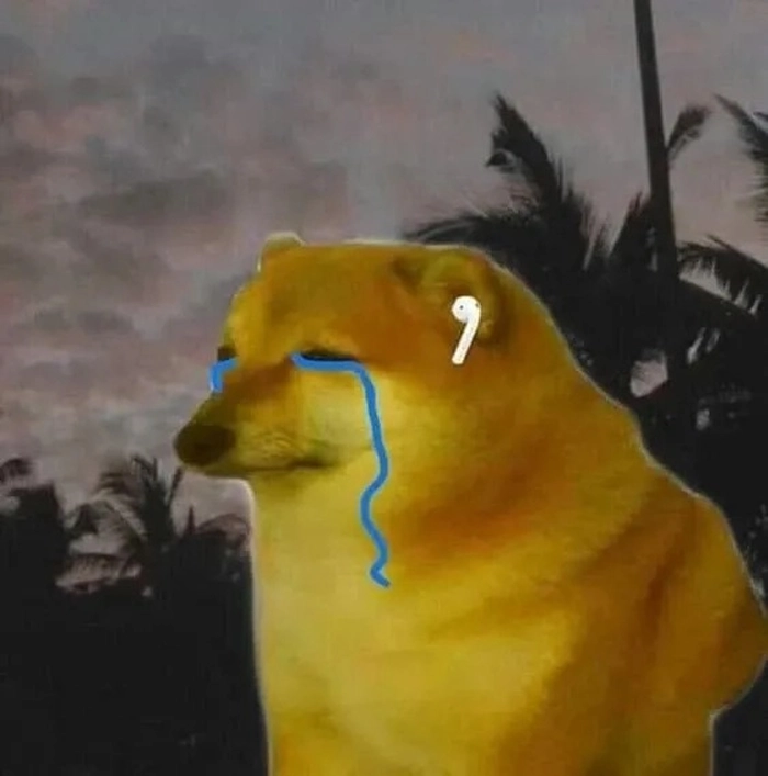 Meme chó buồn nghe nhạc suy