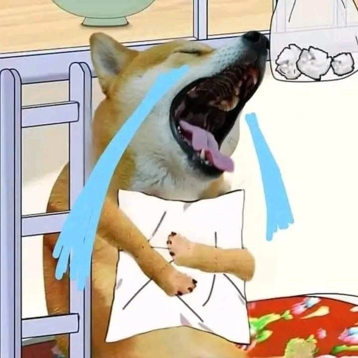 Meme chó buồn tâm trạng