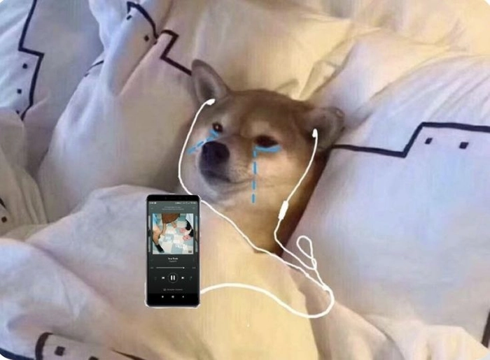 Meme chó buồn thất vọng