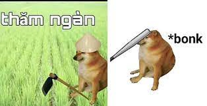 Meme chó cầm gậy cực mặn