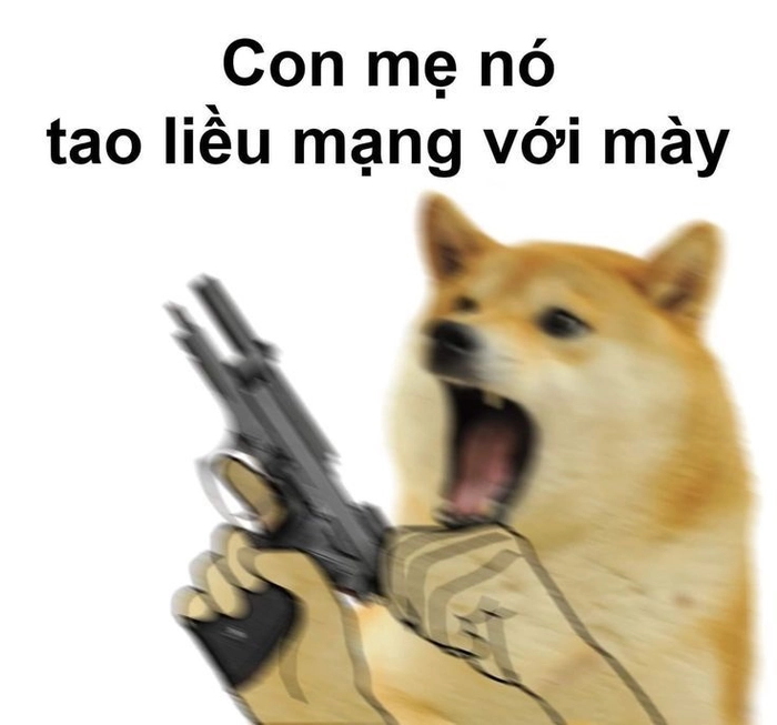 Meme chó cầm súng đang gầm gừ