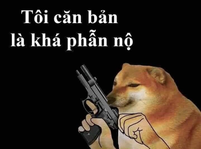 Meme chó cầm súng đồ chơi