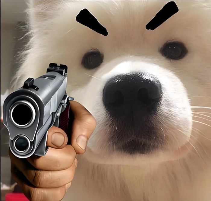 Meme chó cầm súng meme dễ thương