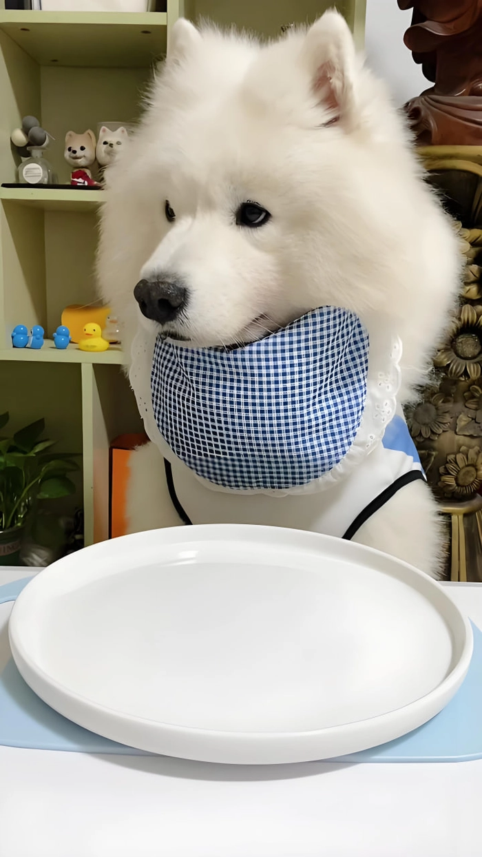 Meme chó chảy dãi dễ thương