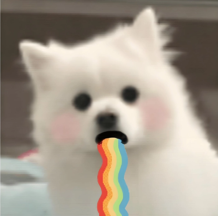 Meme chó chảy dãi ngộ nghĩnh