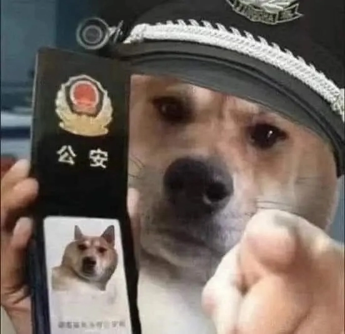 Meme chó chỉ tay chê bai