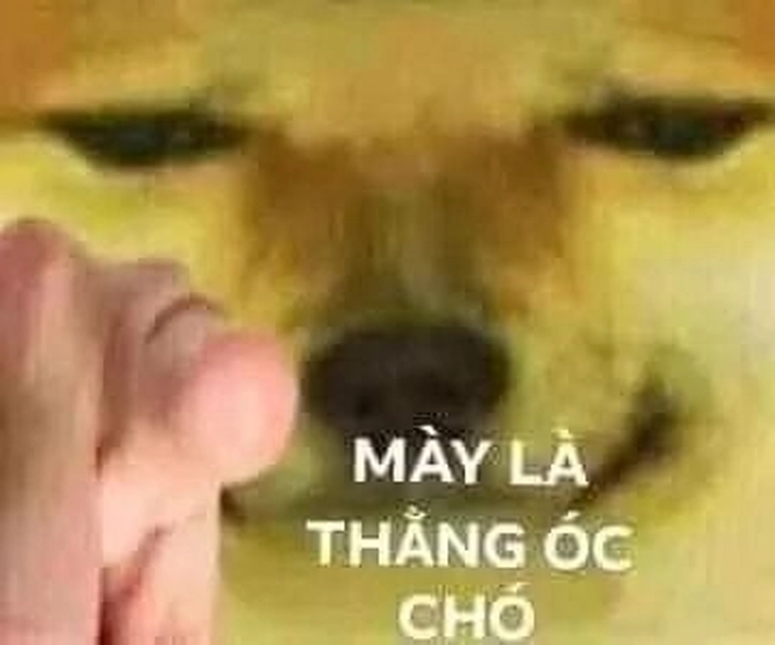 Meme chó chỉ tay troll bạn