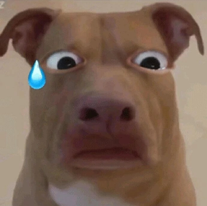 Meme chó cỏ chế cực mạnh