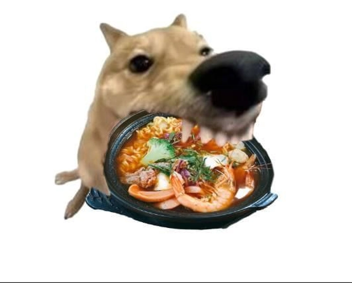 Meme chó gặm bát mì cay chế