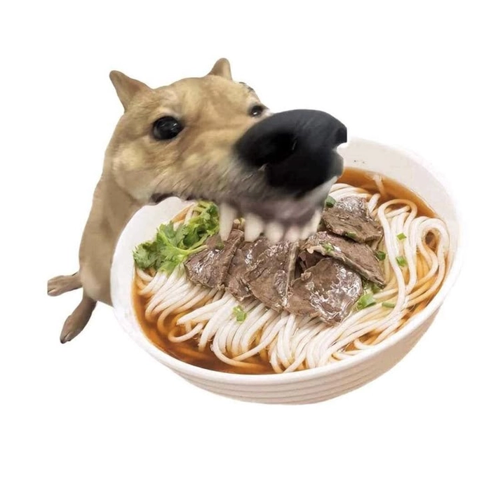 Meme chó gặm bát phở bá đạo