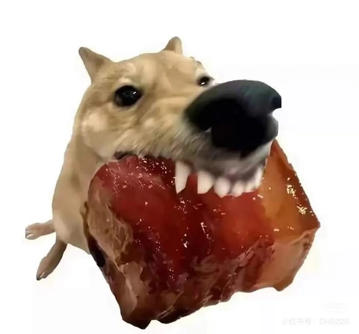 Meme chó gặm thịt kho tàu