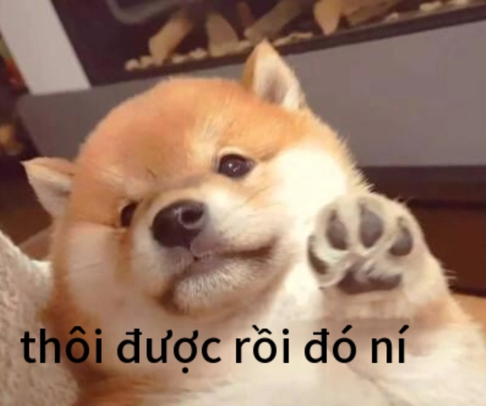 Meme chó giơ tay phát biểu