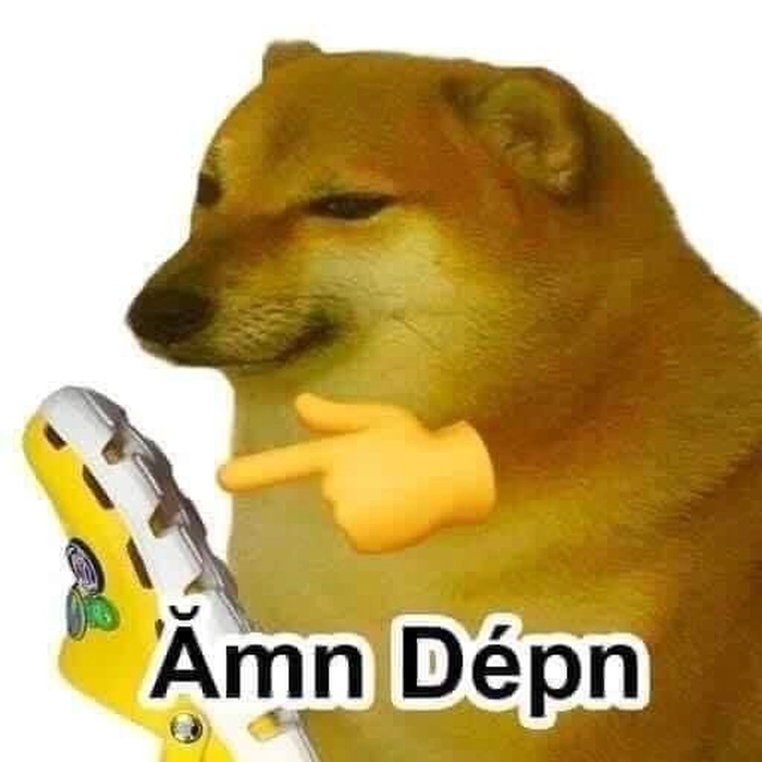 Meme chó hài hước cute