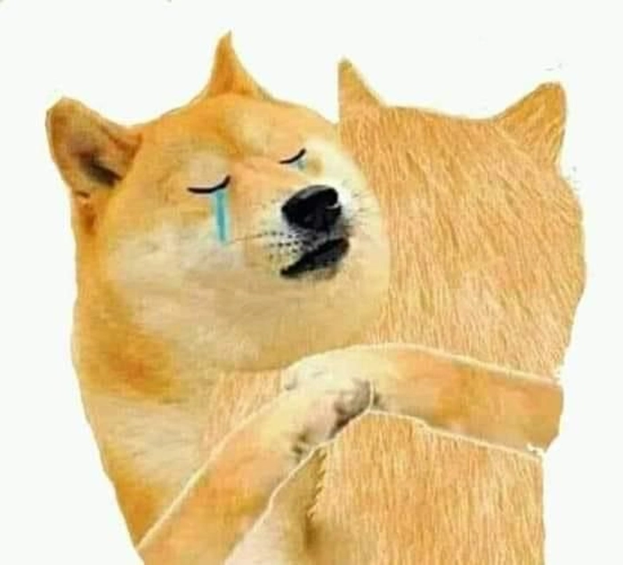Meme chó khóc biểu cảm hài