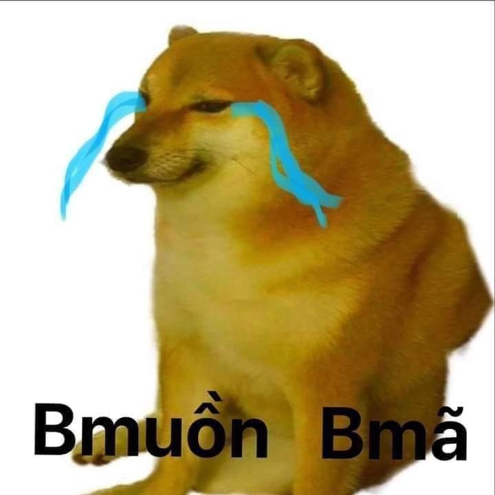 Meme chó khóc che mặt