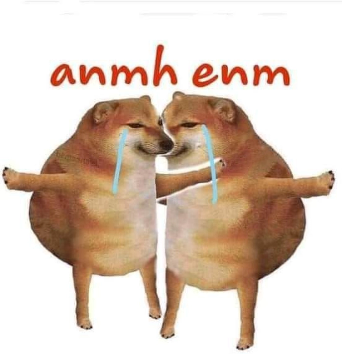 Meme chó khóc cute lạc lối