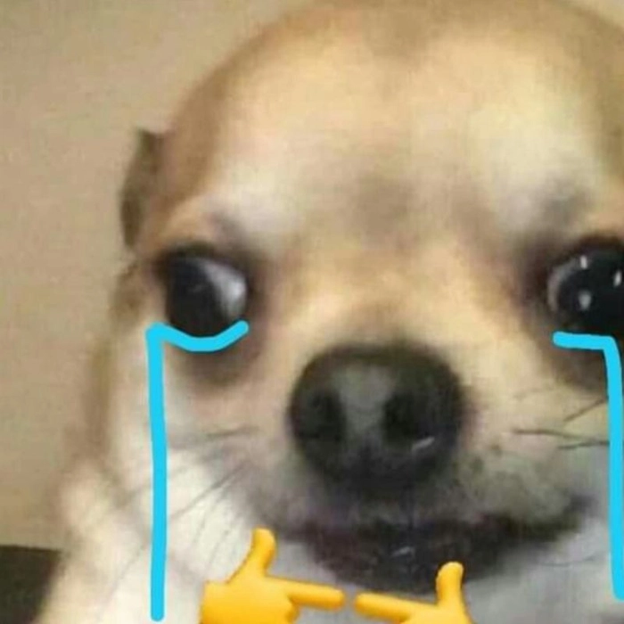 Meme chó khóc lầy lội
