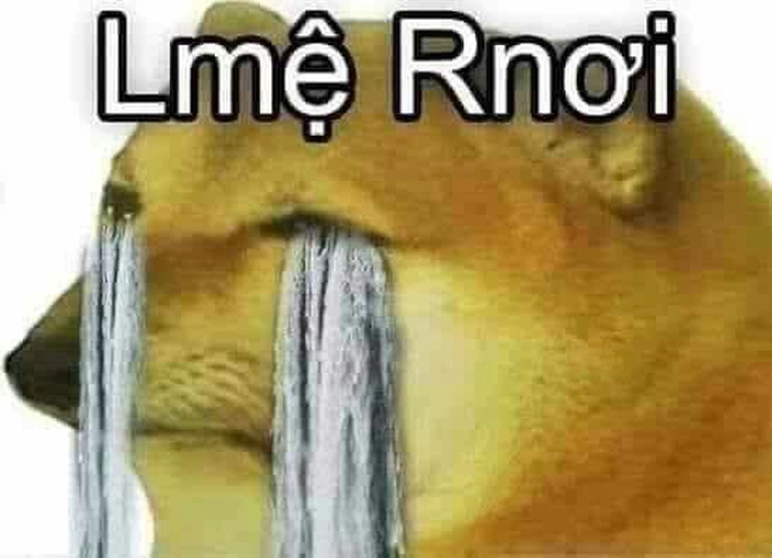 Meme chó khóc sưng mắt