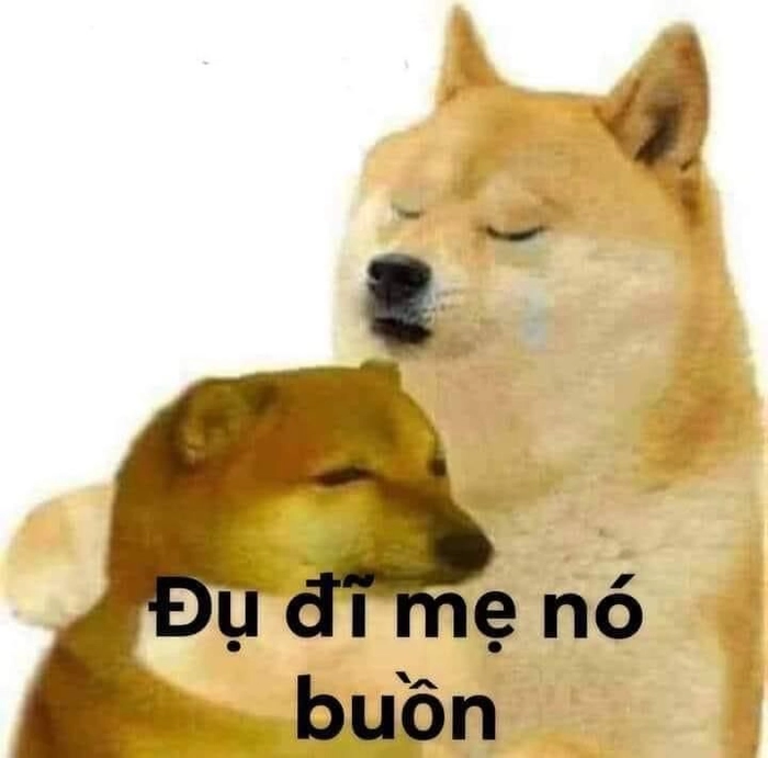 Meme chó khóc vì mèo