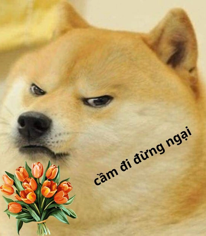Meme chó tặng hoa bá đạo