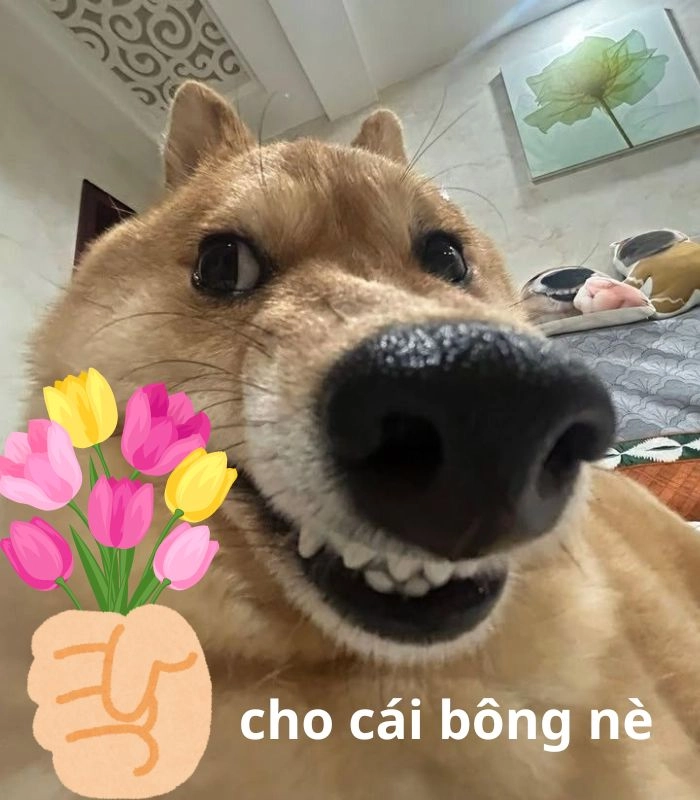 Meme chó tặng hoa dễ thương