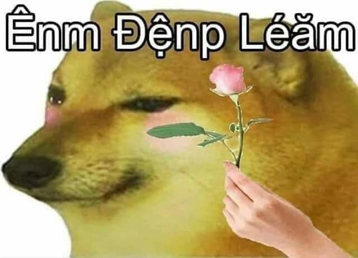 Meme chó tặng hoa hài không tưởng