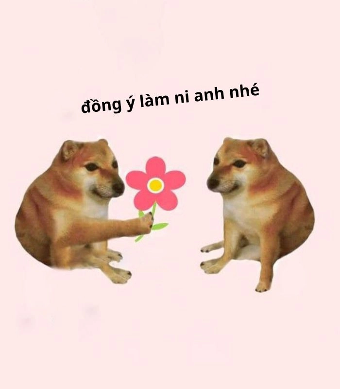 Meme chó tặng hoa hot trend