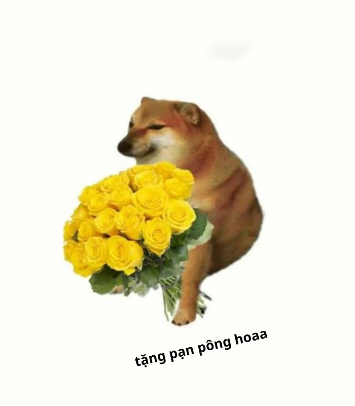 Meme chó tặng hoa nhìn là cười