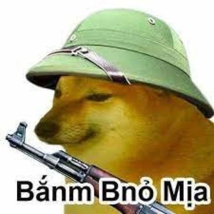 Meme chú chó Cheems viral
