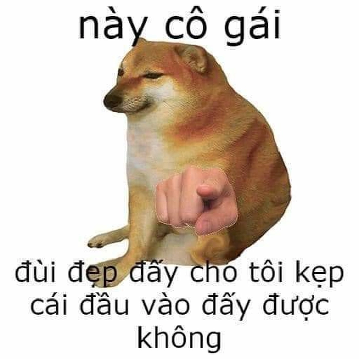 Meme con chó Cheems