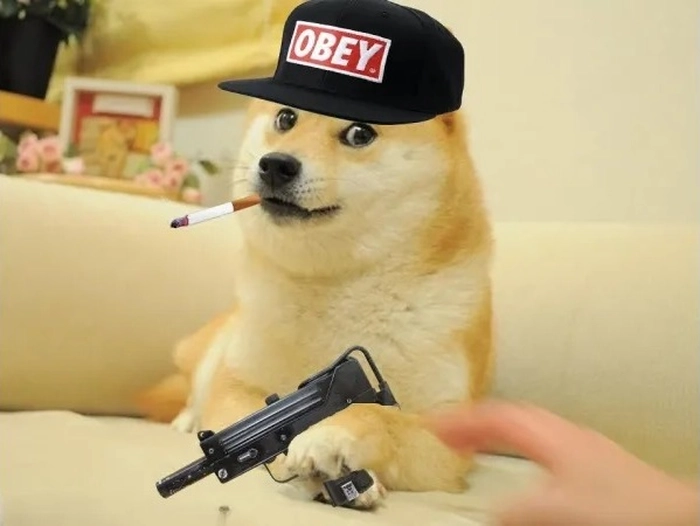 Meme con chó cầm súng biểu cảm lạnh tanh