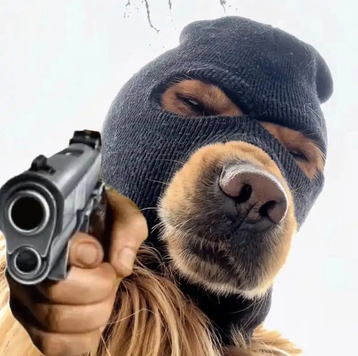 Meme con chó cầm súng đeo mặt nạ