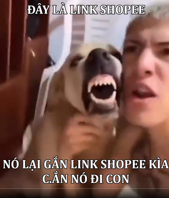 Meme con chó cắn tay