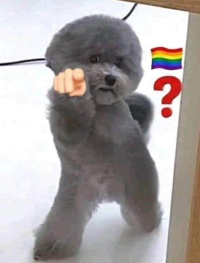 Meme con chó chỉ ngón tay LGBT