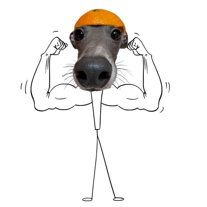 Meme con chó cơ bắp hài hước nhất