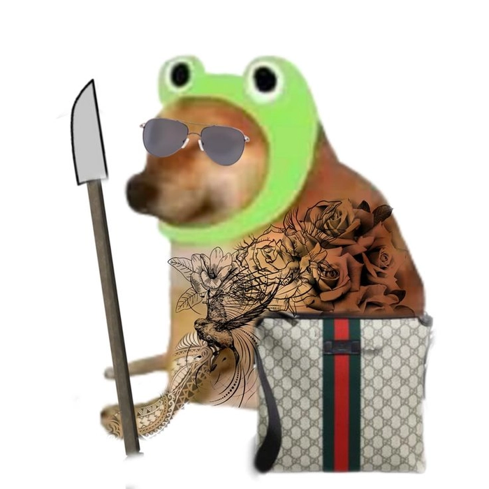 Meme con chó đeo kính bá đạo