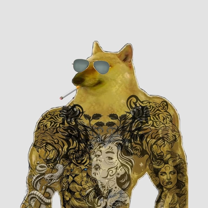 Meme con chó đeo kính cool ngầu