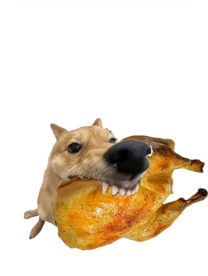 Meme con chó gặm thịt gà