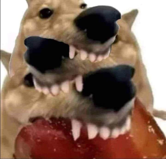 Meme con chó gặm thịt kho tàu