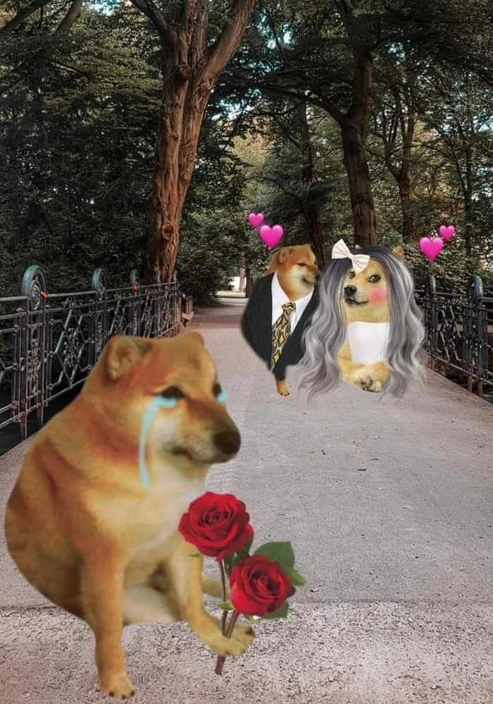 Meme con chó khóc lặng lẽ