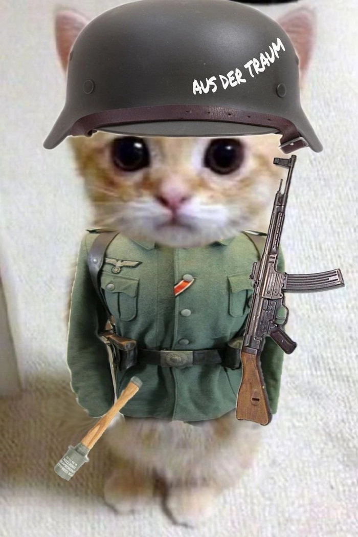 Meme con mèo bắn súng hài