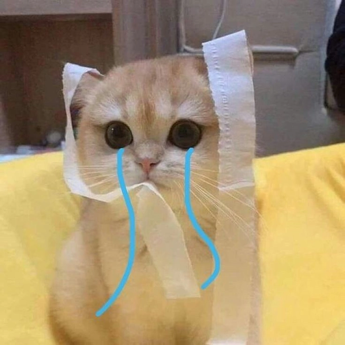 Meme con mèo buồn chạm đáy nỗi buồn