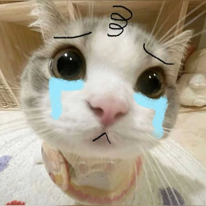 Meme con mèo buồn tấu hài