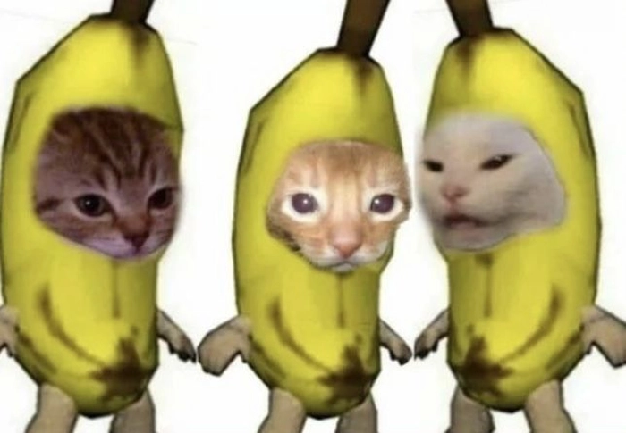 Meme con mèo chuối hài bá đạo